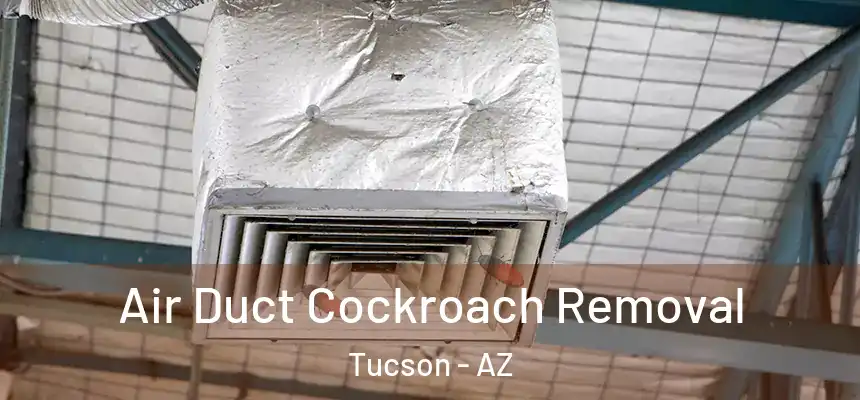 Air Duct Cockroach Removal Tucson - AZ