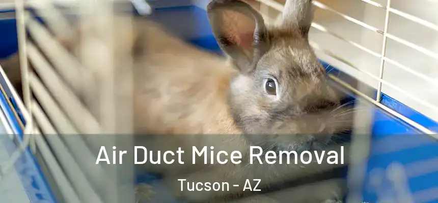 Air Duct Mice Removal Tucson - AZ