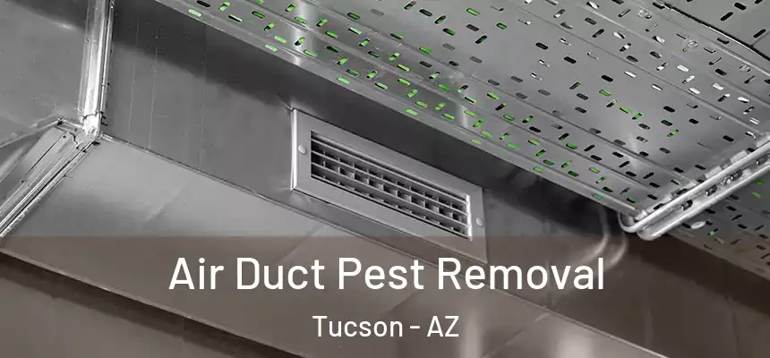 Air Duct Pest Removal Tucson - AZ