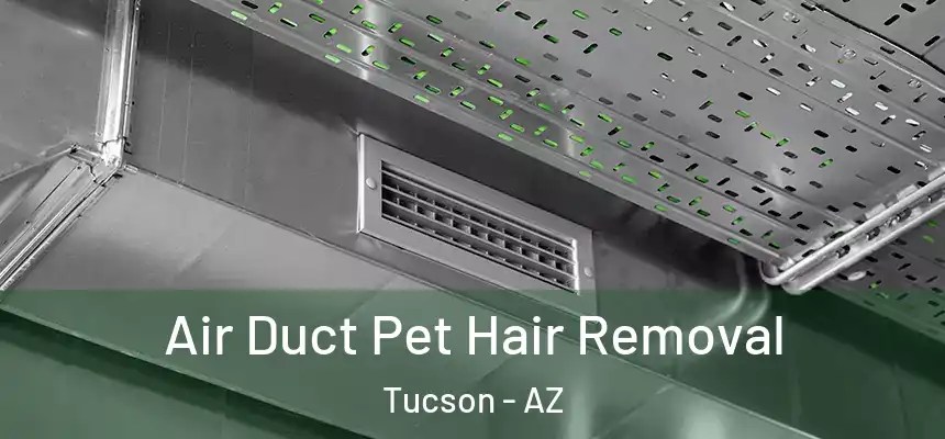  Air Duct Pet Hair Removal Tucson - AZ