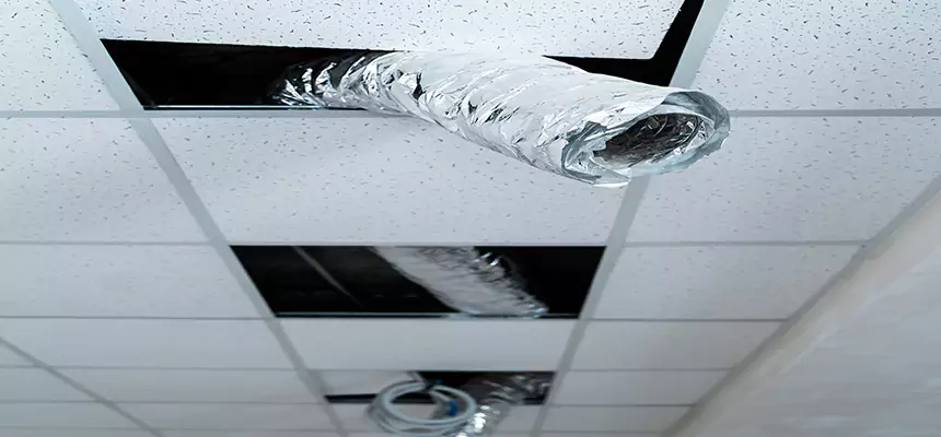 Affordable HVAC Sanitizing After Pest Removal in Tucson