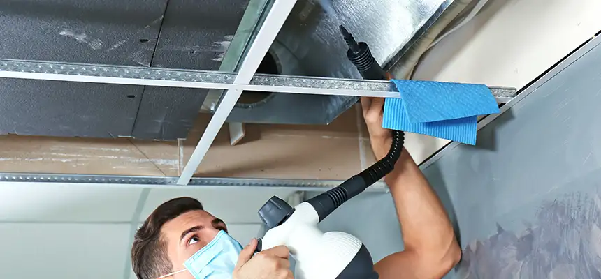 Our Air Duct Rodent Removal Services in Tucson, AZ