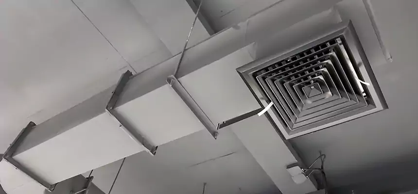 Our Pest Removal From Ducts Services in Tucson, AZ