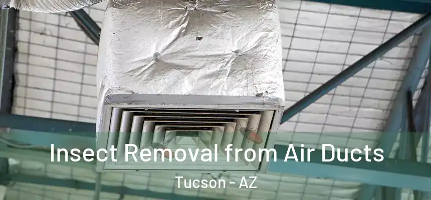 Insect Removal from Air Ducts Tucson - AZ