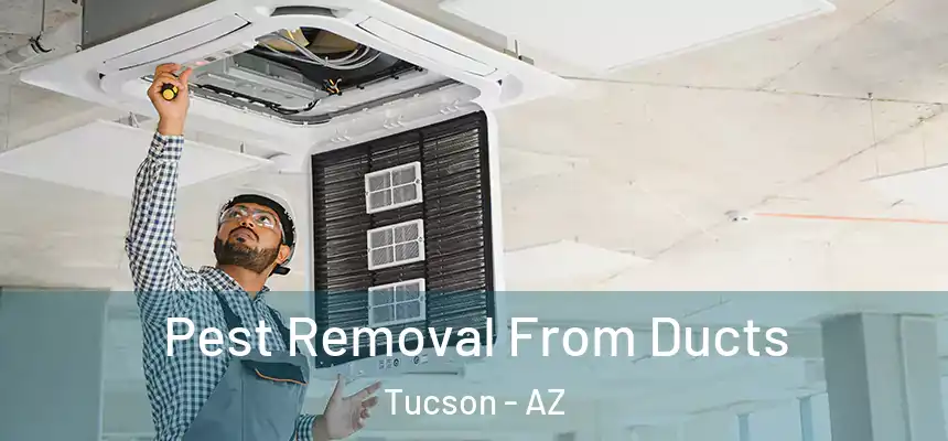 Pest Removal From Ducts Tucson - AZ