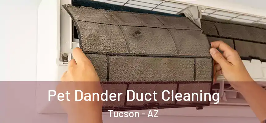 Pet Dander Duct Cleaning Tucson - AZ