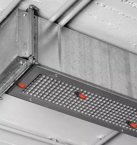 About Air Duct Cockroach Removal in Tucson, AZ