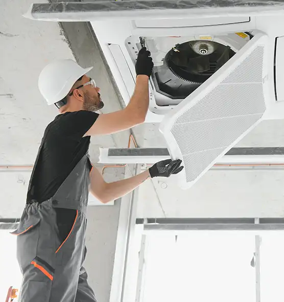 About Air Duct Rodent Removal in Tucson, AZ