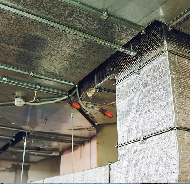 Why Homeowners & Businesses Trust Us in Tucson, AZ?