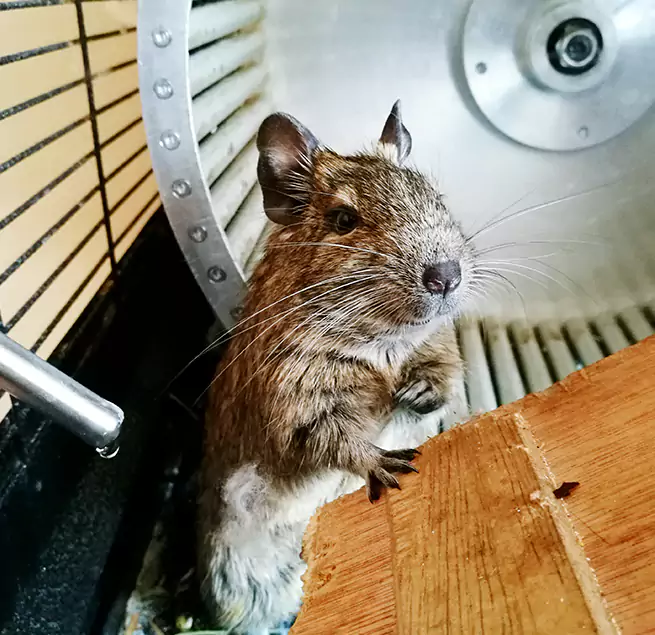 Why Homeowners & Businesses Trust Us Tucson, AZ