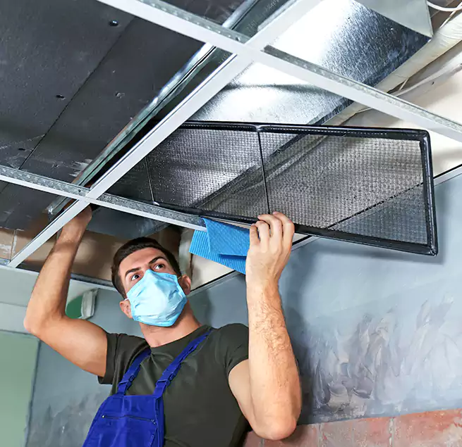 Why Homeowners Businesses Trust Us in Tucson, AZ