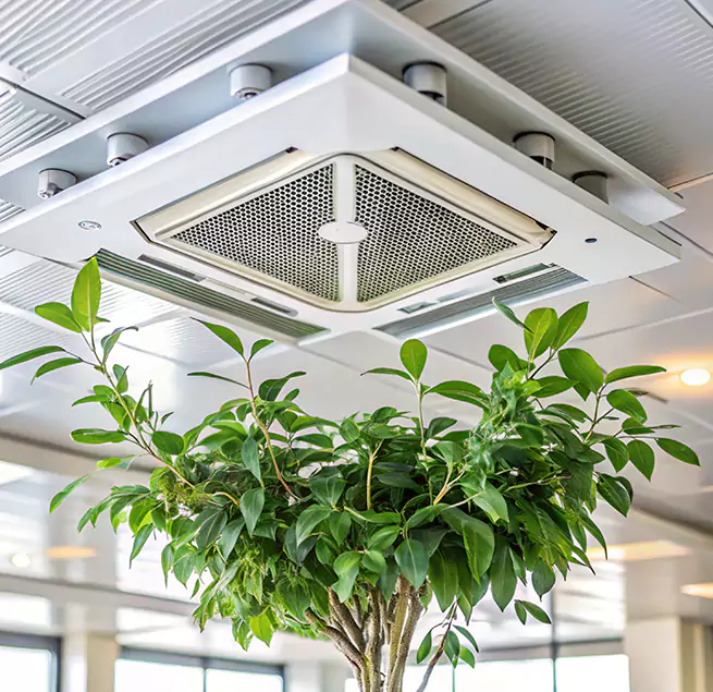 Why Homeowners & Businesses Trust Us in Tucson, AZ?